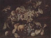 unknow artist Still life of red and white grapes,peaches and plums,on a stone ledge Sweden oil painting reproduction